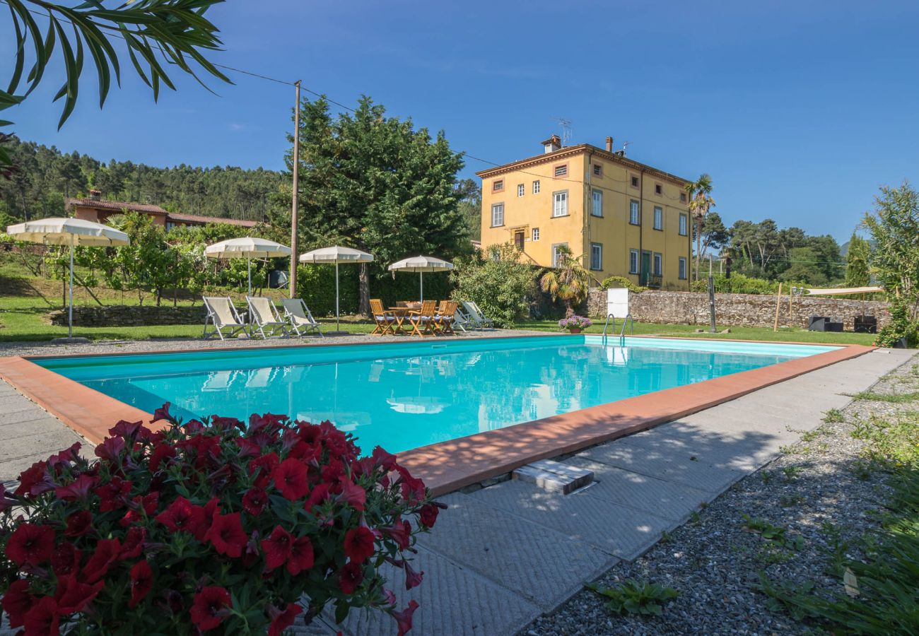 Apartment in Capannori - SARA