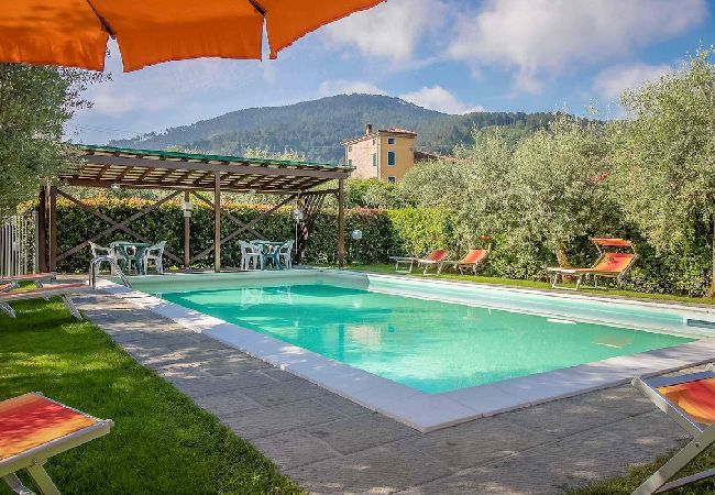 Apartment in Colle di Compito - ANSENETA