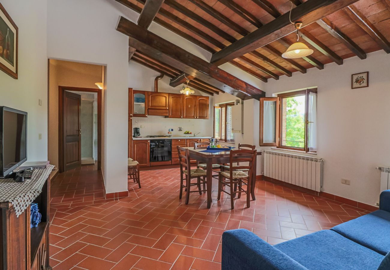 Apartment in Montaione - MARO T