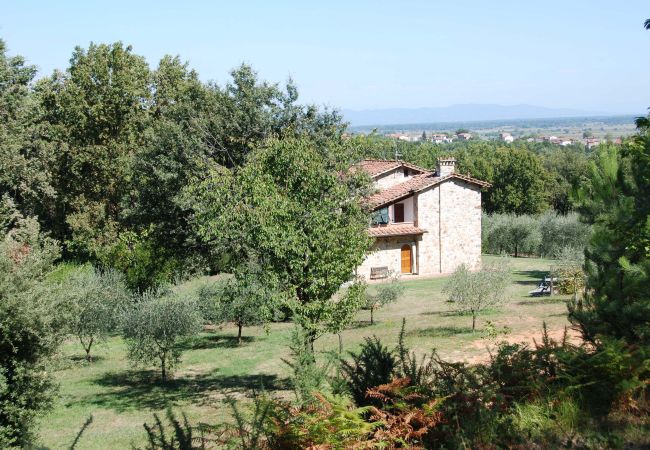 Villa in Capannori - BROCCO Villa in Capannori - BROCCO