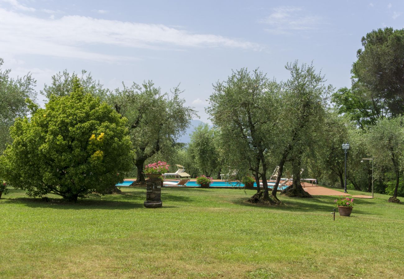 Villa in San Colombano - TONI