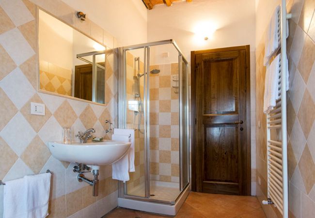 Apartment in Castelnuovo Berardenga - PINO 035