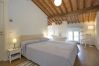 Villa in Lucca - SASTE Villa in Lucca - SASTE