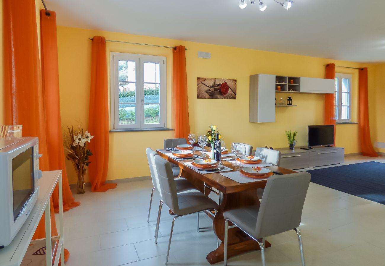 Apartment in Colle di Compito - COMPITO PP