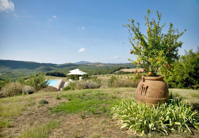 Villa in Manciano - SARBERA Villa in Manciano - SARBERA