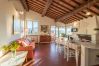 Apartamento en Lucca - MARINO Apartamento en Lucca - MARINO