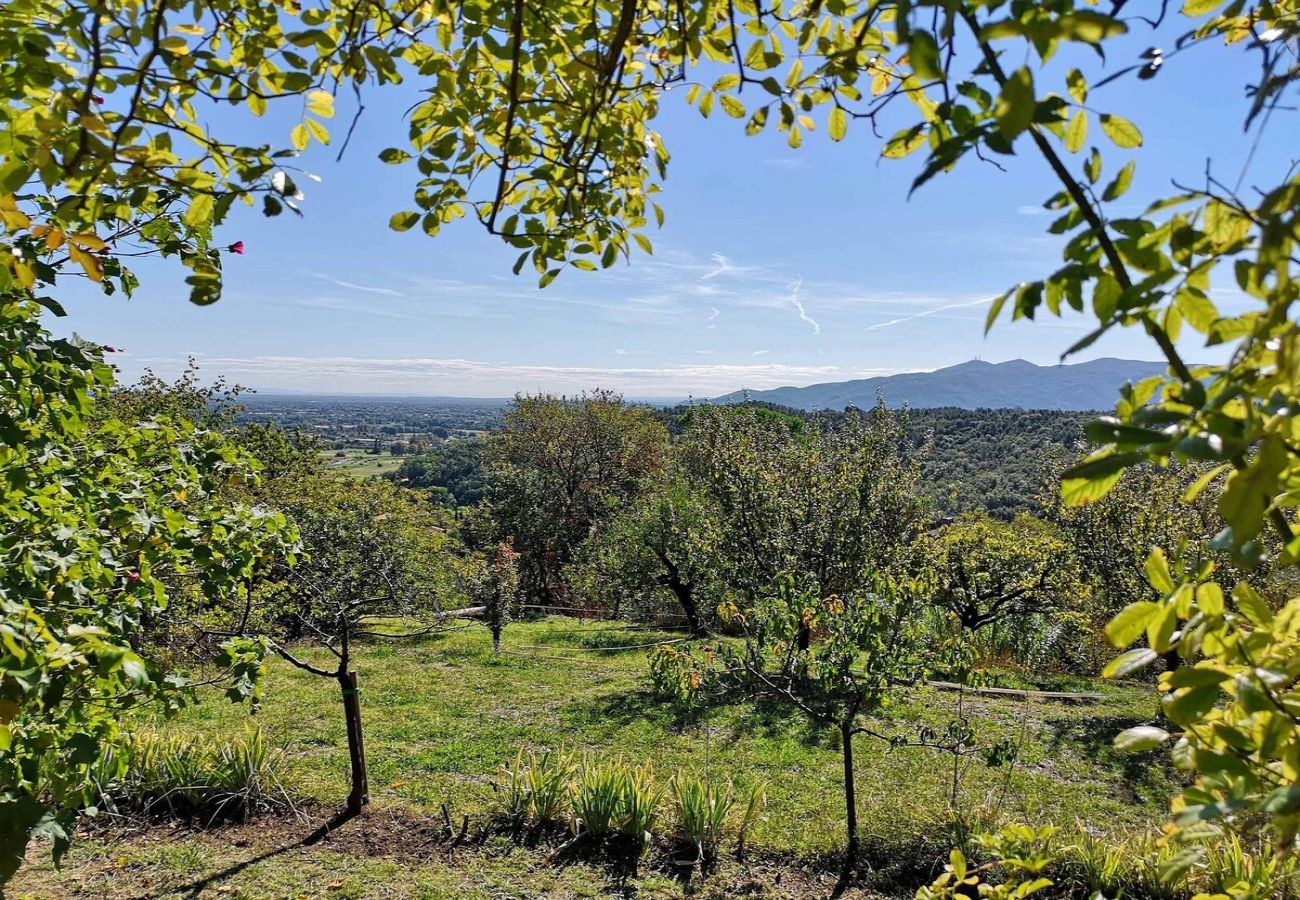 Apartamento en Lucca - CROCETTA