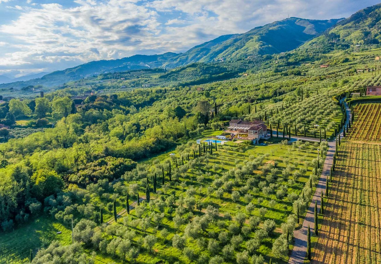 Villa en Segromigno in Monte - PODERE BORDO