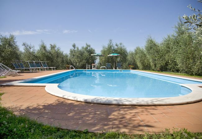 Villa en Palaia - LAFO Villa en Palaia - LAFO