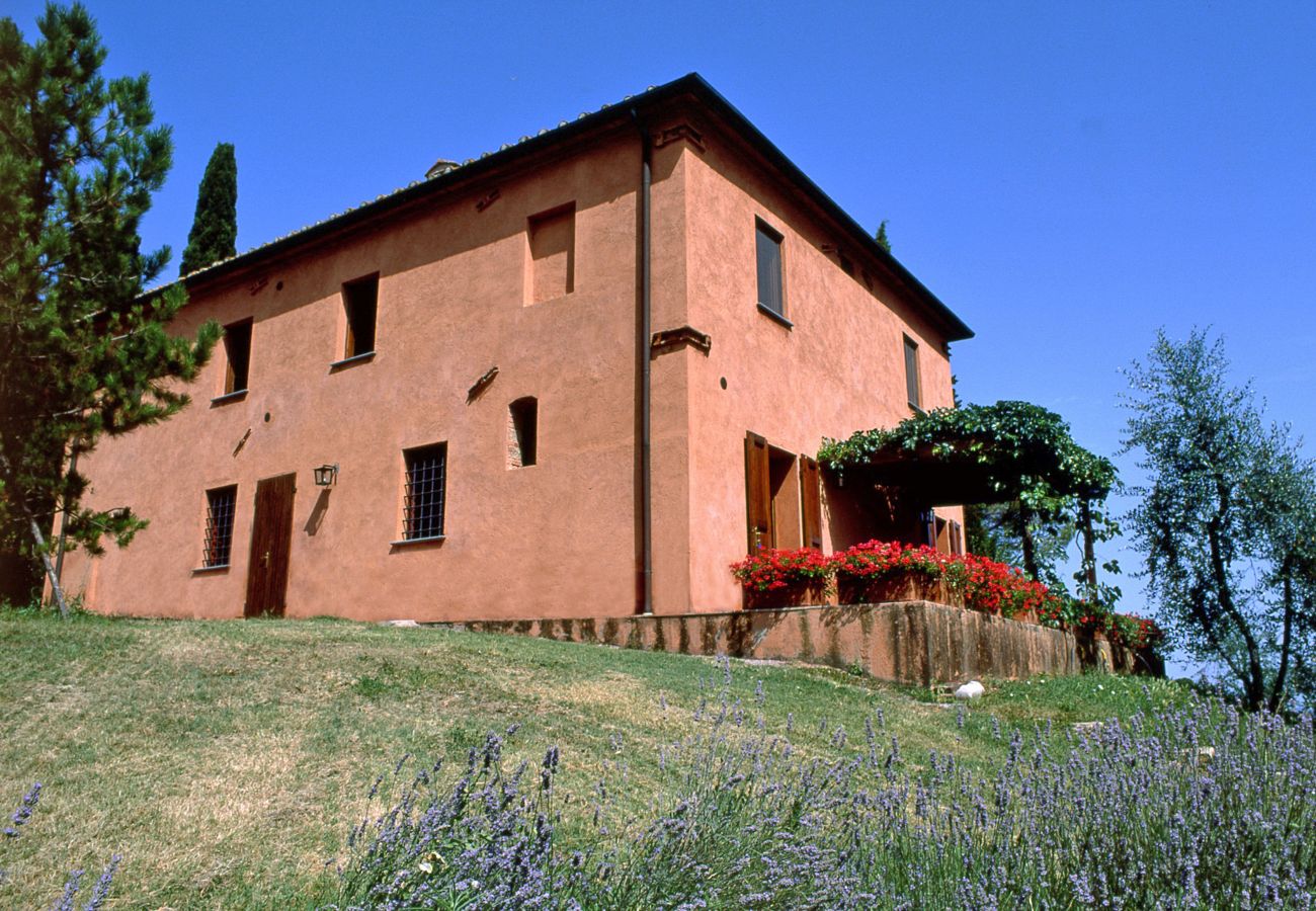 Villa en Peccioli - PANNA