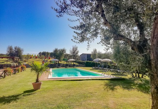 Apartamento en Castelnuovo Berardenga - OLIVO 035 Apartamento en Castelnuovo Berardenga - OLIVO 035