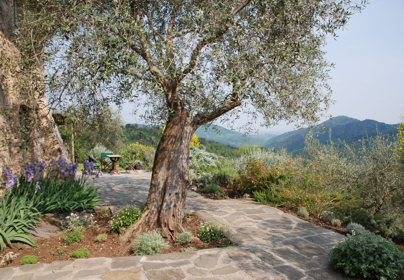 Villa en Camaiore - GENTE