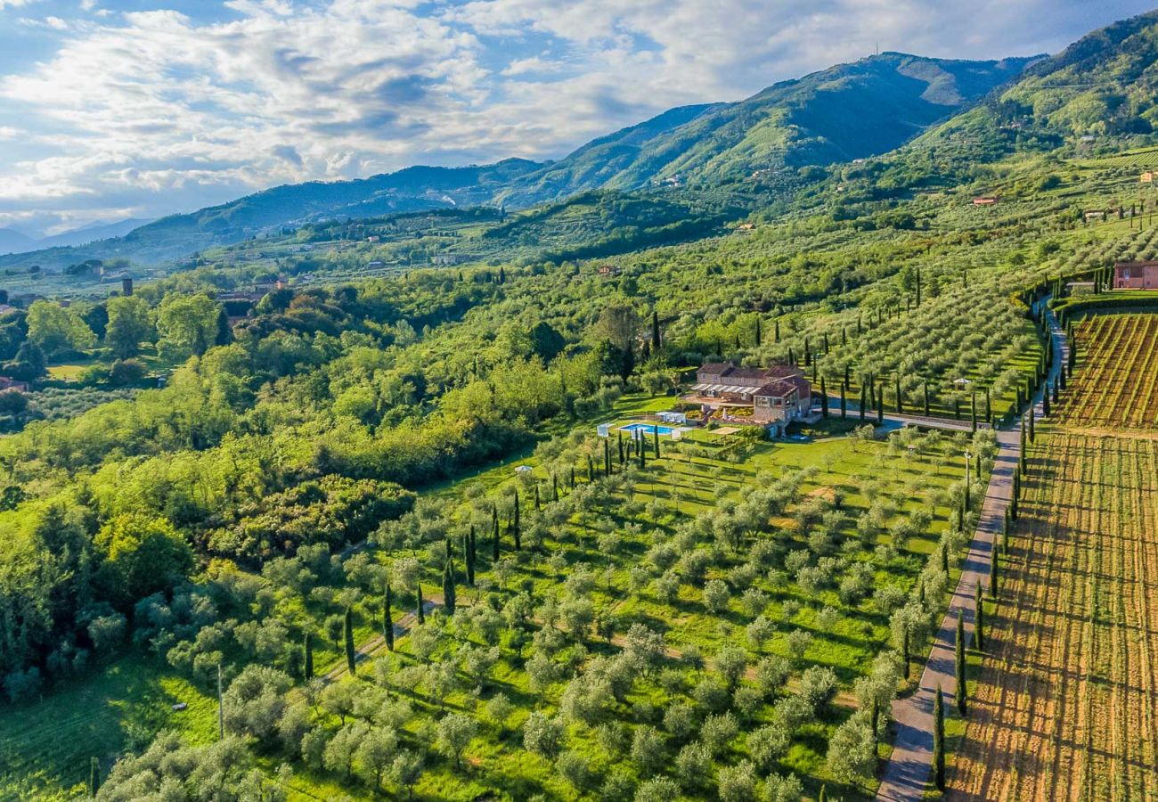 Agroturismo en Segromigno in Monte - BORDO 2