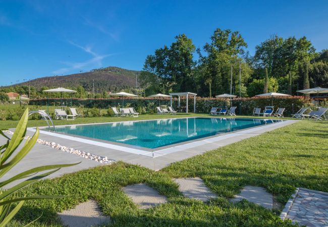 Apartamento en Capannori - CHIARO MI Apartamento en Capannori - CHIARO MI