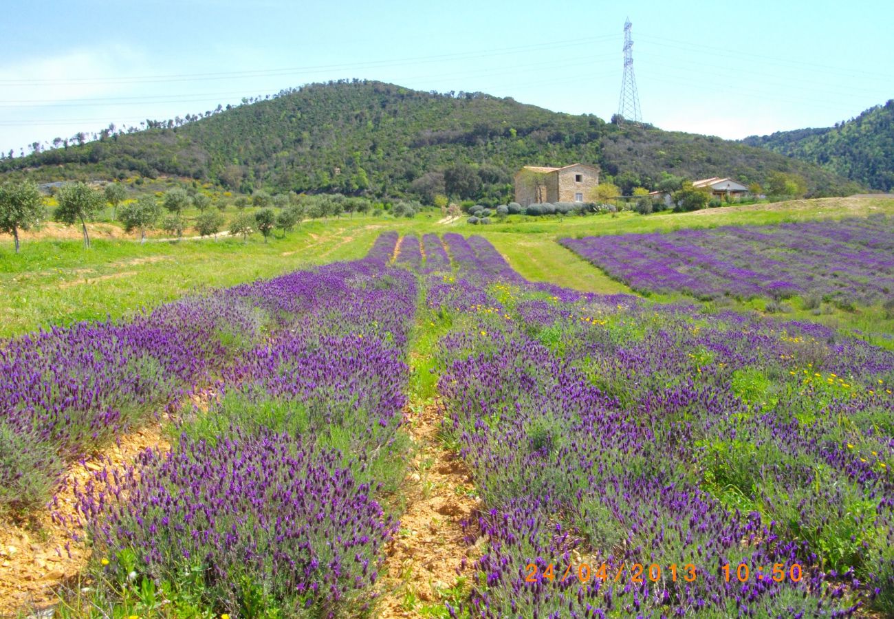 Villa en Manciano - SARBERA