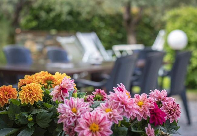 Lejlighed i Colle di Compito - COLOMBA Lejlighed i Colle di Compito - COLOMBA