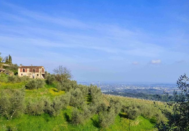 Villa à Lucca - AGLI ORTI Villa à Lucca - AGLI ORTI