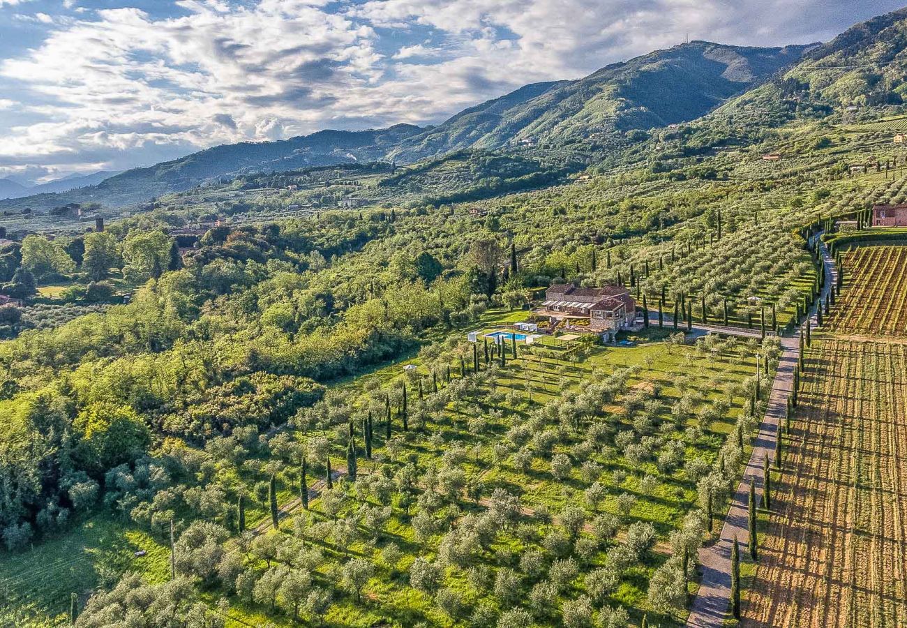 Ferme à Segromigno in Monte - BORDO 1