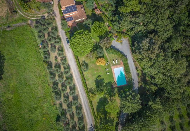 Villa à Montecarlo - IL SUGHERO Villa à Montecarlo - IL SUGHERO