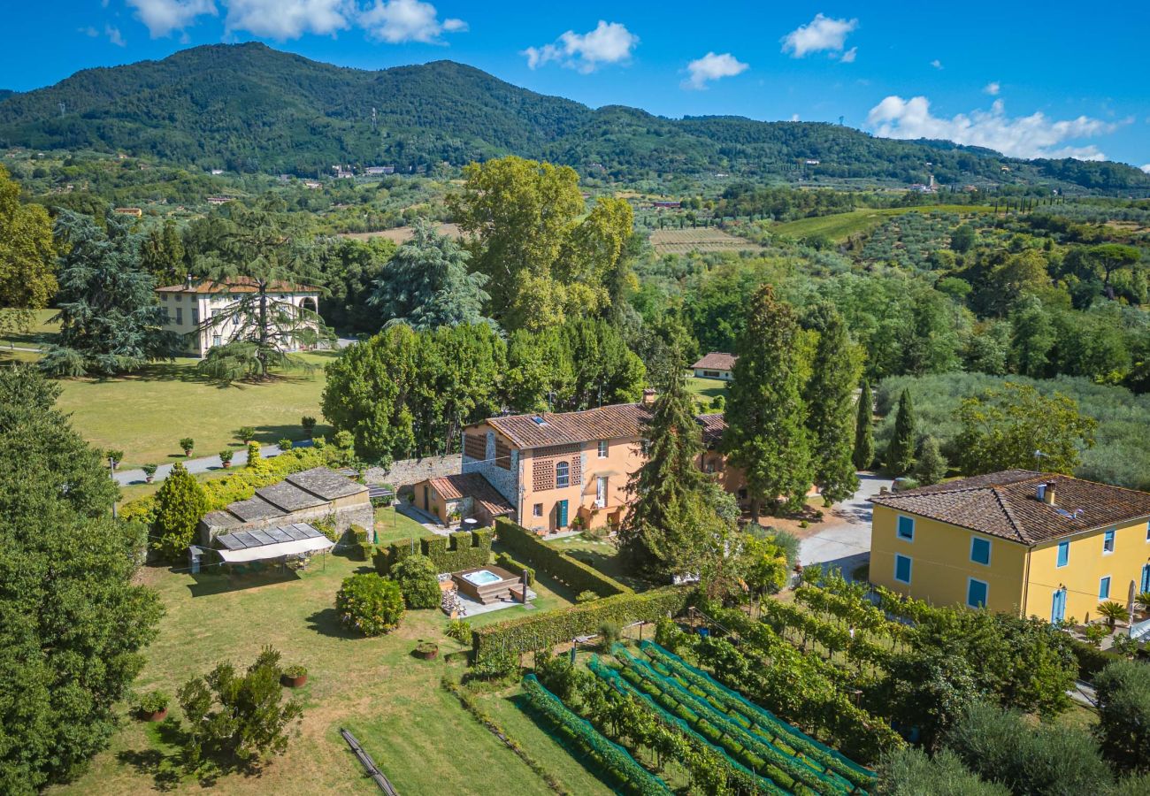 Appartement à Segromigno in Monte - VIOLETTA M