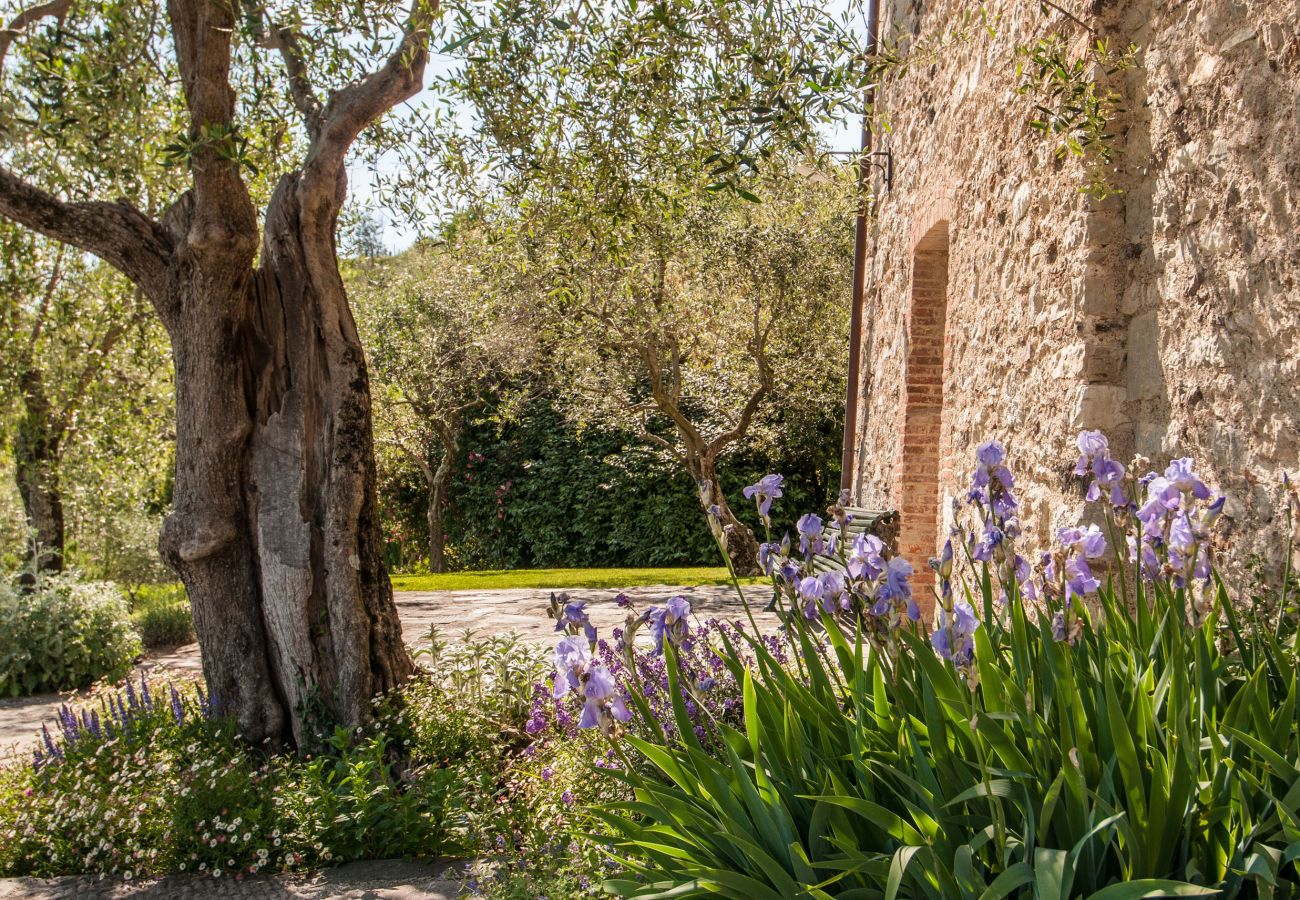 Villa à Camaiore - GENTE