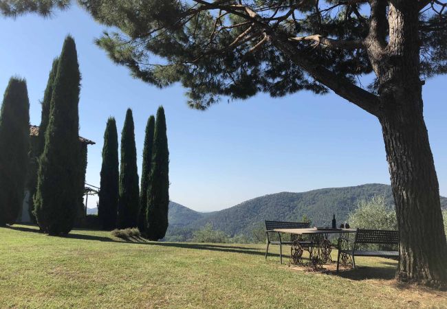 Villa à Quiesa - COMBA Villa à Quiesa - COMBA