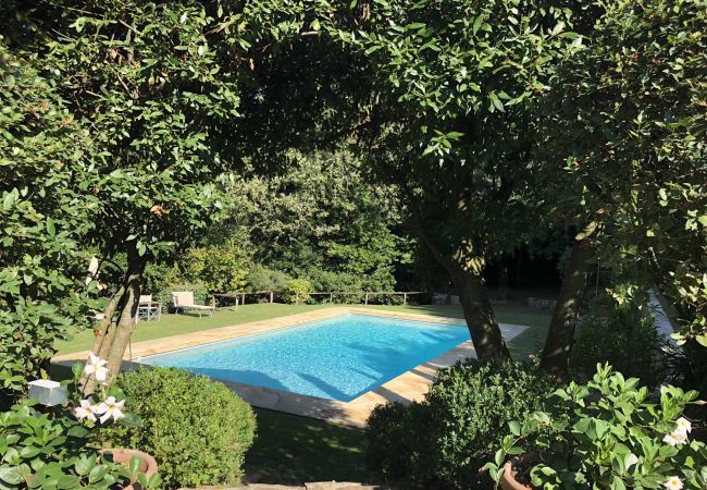 Villa à Quiesa - COMBA Villa à Quiesa - COMBA