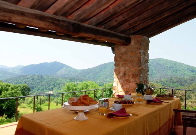 Villa à Quiesa - COMBA Villa à Quiesa - COMBA