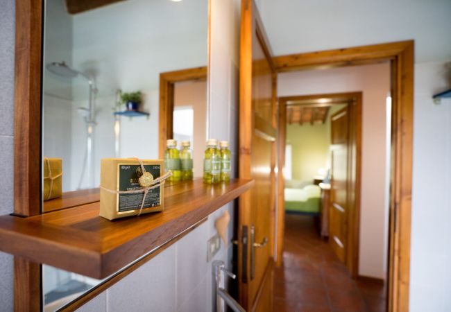 Villa a Segromigno in Monte - PODERE BORDO Villa a Segromigno in Monte - PODERE BORDO