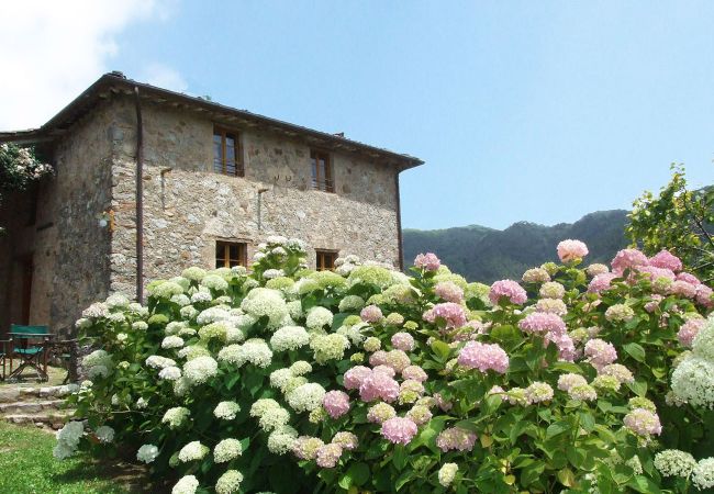 Villa a San Martino in Freddana - SABO Villa a San Martino in Freddana - SABO