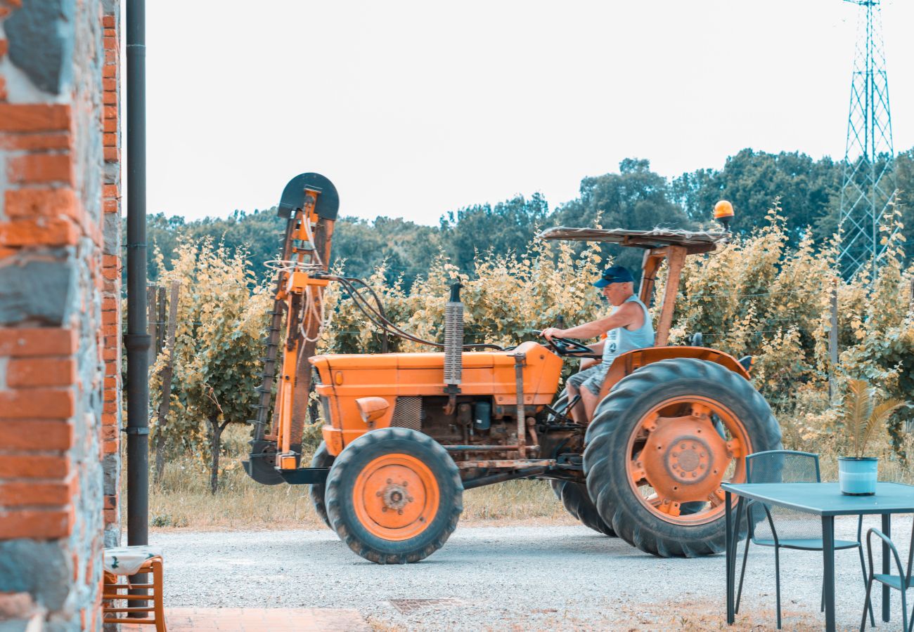 Appartamento a Badia Pozzeveri - LA VIGNA