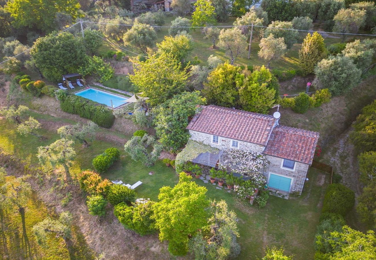 Villa in Lucca - EMILIA