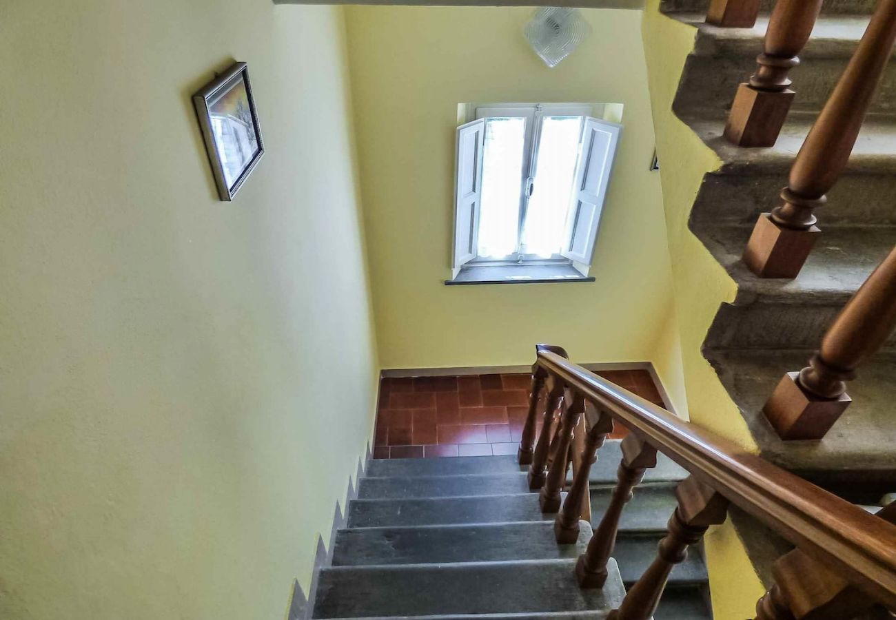 Appartement in Colle di Compito - CLORINDA