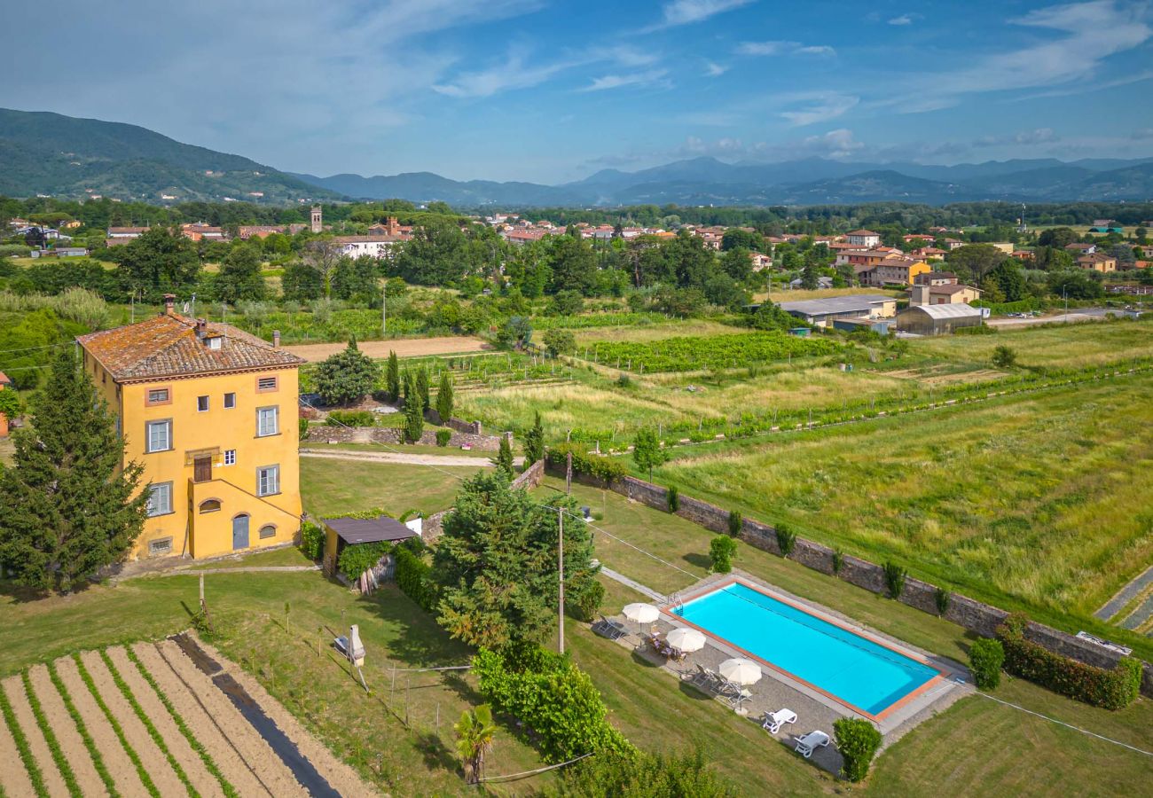 Appartement in Capannori - SARA