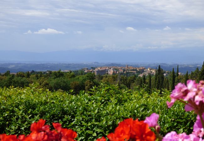 Appartement in Montaione - LARI FORNO1