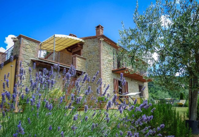 Villa in Lisciano Niccone - PODERE PERUSIA Villa in Lisciano Niccone - PODERE PERUSIA