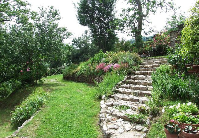 Villa in San Martino in Freddana - SABO Villa in San Martino in Freddana - SABO