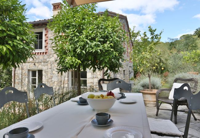 Villa in Lucca - GELO Villa in Lucca - GELO