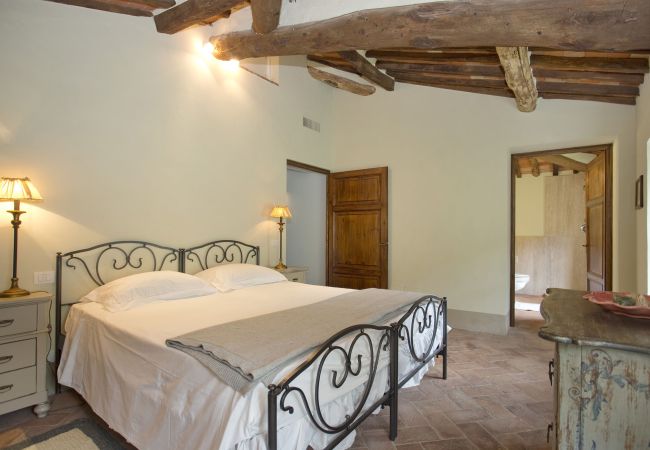 Villa in Lucca - GELO Villa in Lucca - GELO