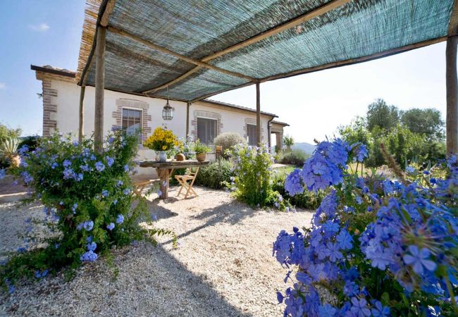 Villa in Manciano - SARBERA Villa in Manciano - SARBERA