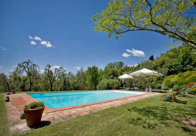 Villa in Palaia - COLIVI 10 Villa in Palaia - COLIVI 10