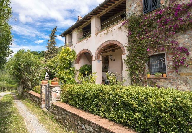 Villa i Lucca - GIGLIO Villa i Lucca - GIGLIO