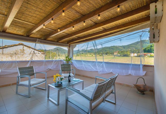 Hus i Lucca - PODERE SANTA Hus i Lucca - PODERE SANTA