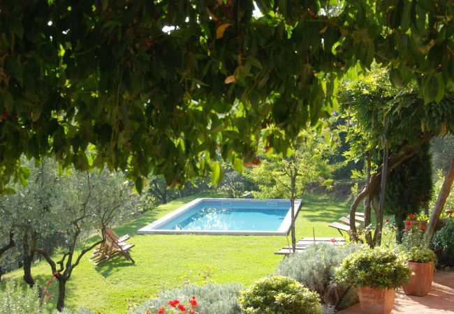 Villa i Lucca - MACCHIA Villa i Lucca - MACCHIA