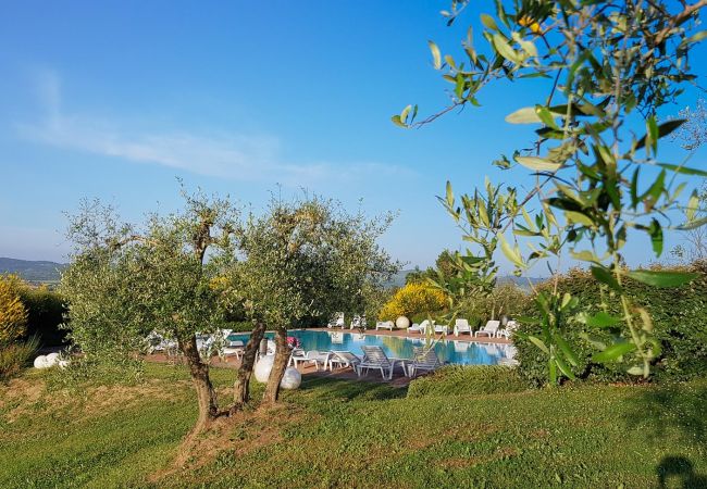 Leilighet i Asciano - MOGA 005 Leilighet i Asciano - MOGA 005