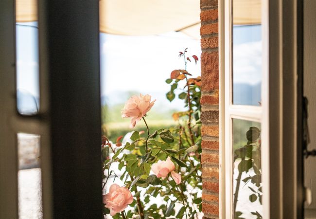 Bondgård i Segromigno in Monte - BORDO 1 Bondgård i Segromigno in Monte - BORDO 1