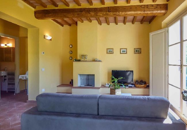 Apartment in Lucca - MANDOLATA