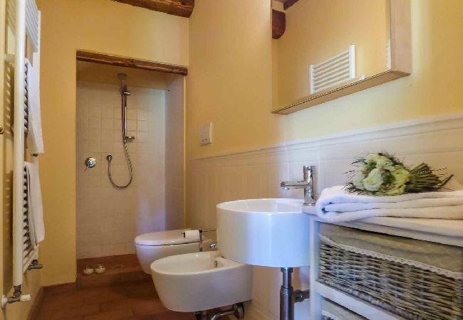 Apartment in Lucca - MANDOLATA