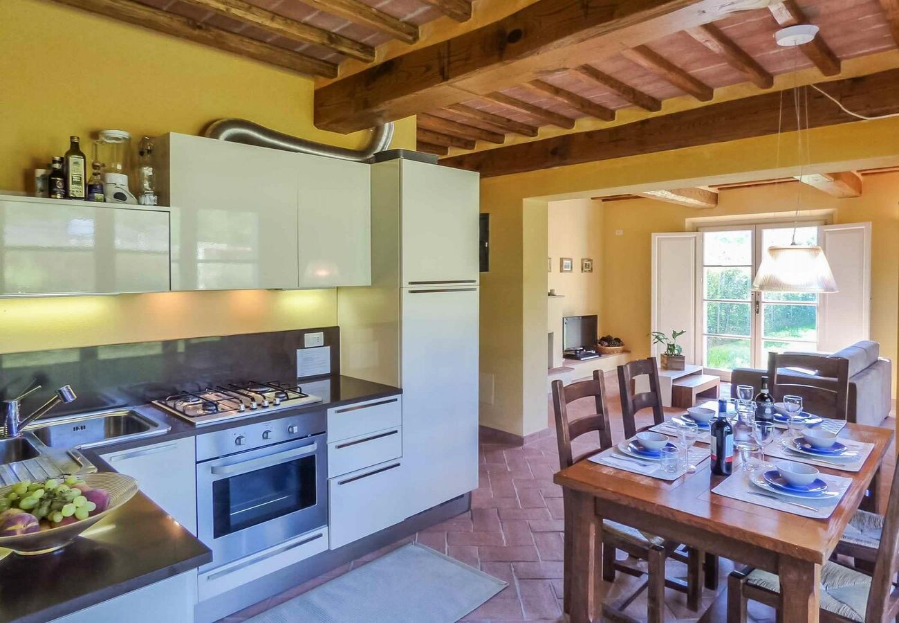 Apartment in Lucca - MANDOLATA