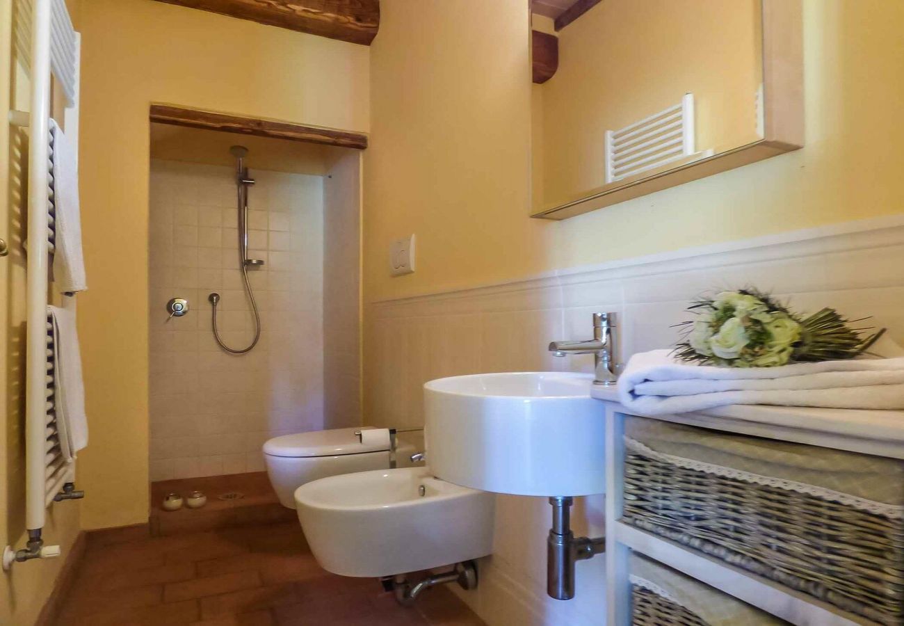 Apartment in Lucca - MANDOLATA